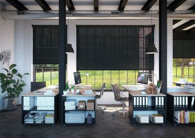 Rollo-Systeme, SG 4930, Versascreen 1-10%