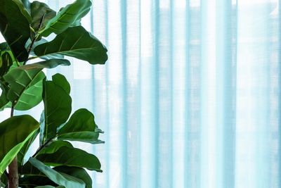 Vorhang-Systeme, SG 5600, Colorama 1, Virgin Money, Glasgow, Scotland, United Kingdom